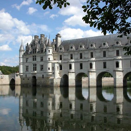 Le Petit Husseau Villa มงต์ลุยส์-ซูร์-ลัวร์ ภายนอก รูปภาพ